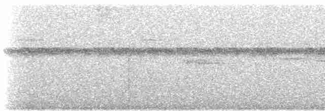 Atlantik Kara Gerdanlı Trogonu - ML612038308