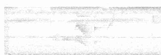 Шлемоносная чубатка - ML612038715