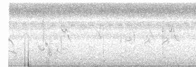 Щетинистая долгохвостка - ML612038740