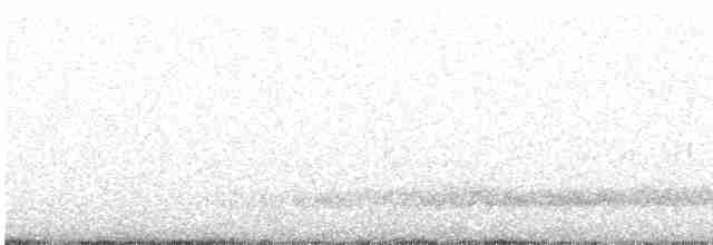 Сипуха крапчаста - ML612039182