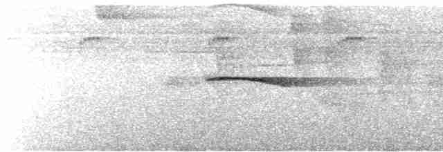 Berlepsch's Tinamou - ML612039503