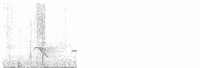 Тасманийская дриада - ML612044606