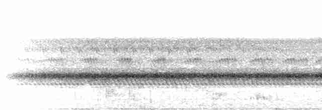 Chouette mouchetée - ML612045210