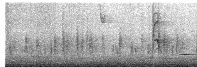 vlhovec červenokřídlý - ML612045256