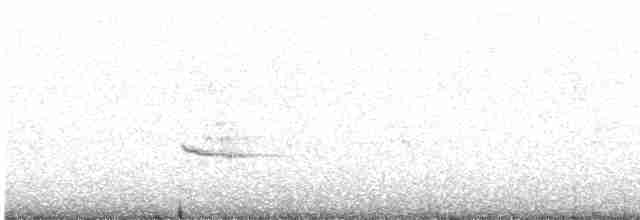 Plectrophane des neiges - ML612048660