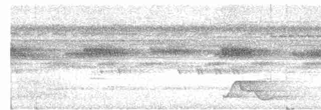 Pauraquenachtschwalbe - ML612051369