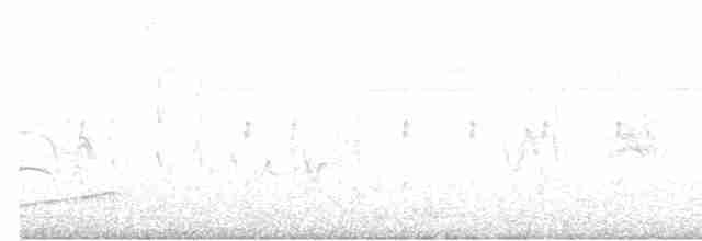 Bluish-gray Saltator - ML612052053