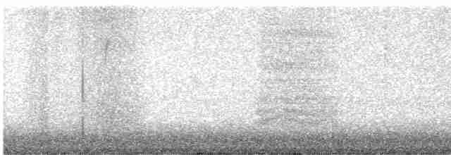 Пересмішник сірий - ML612054839