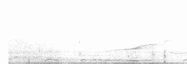 holub středoamerický - ML612056546