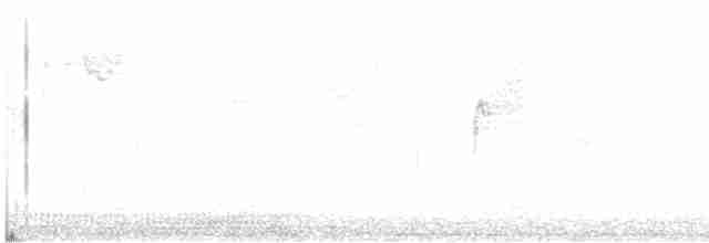 Малый мухолов - ML612057150