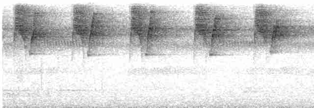 Большеклювый колибри-отшельник - ML612058289