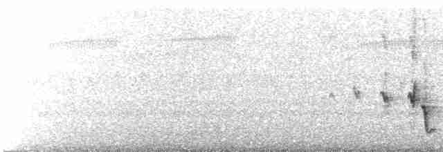 Медник блідий - ML612062123
