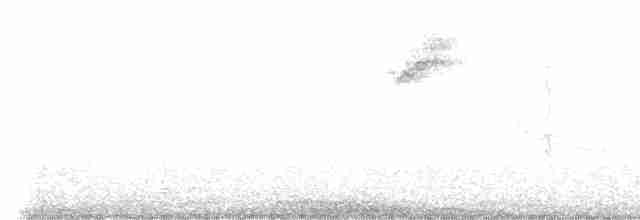 Beyaz Gerdanlı Tovi - ML612063674
