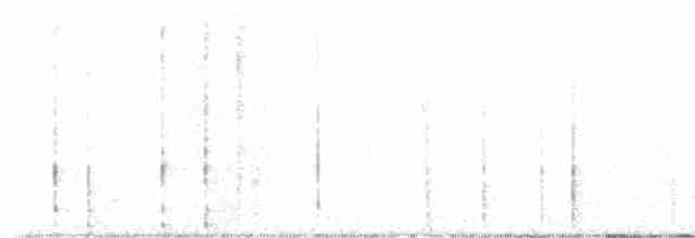 Arizona Woodpecker - ML612064585