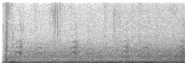 Pava Oscura - ML612065239