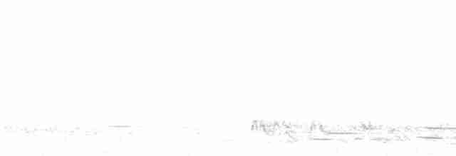 Кукабара синьокрила - ML612070803