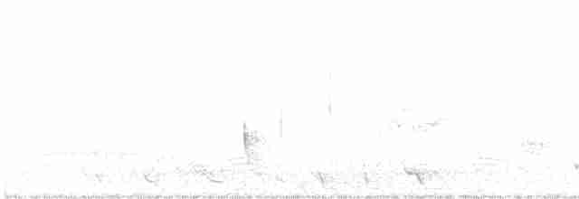 Изящный медосос - ML612071001