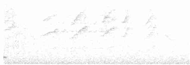 Taita White-eye - ML61207101