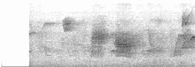 Siparaya Nektarkuşu [seheriae grubu] - ML612071361