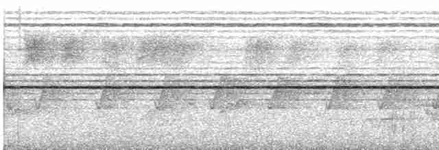 Kestane Kanatlı Çalı Timalyası - ML612071368