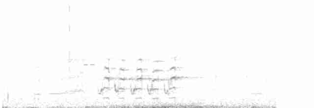 White-streaked Honeyeater - ML612071377