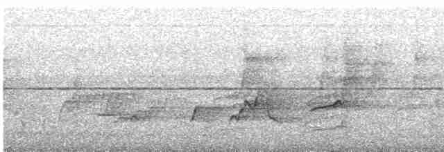 Zeytuni Arapbülbülü (cinnamomeoventris) - ML612071380