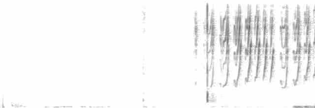 Sivri Gagalı Sepetören - ML612073591