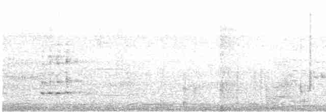 Plush-crested Jay - ML612074506