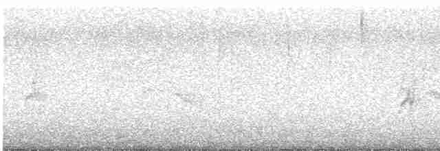 vlaštovka skalní - ML612079858