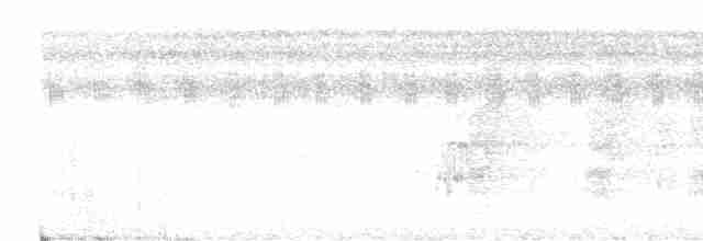 Grauwangen-Ameisenvogel - ML612081085