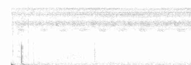 Grauwangen-Ameisenvogel - ML612081086