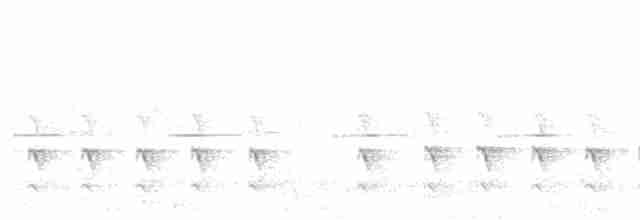 chřástalík madagaskarský - ML612085026