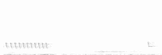 Madagaskarnachtschwalbe - ML612085246