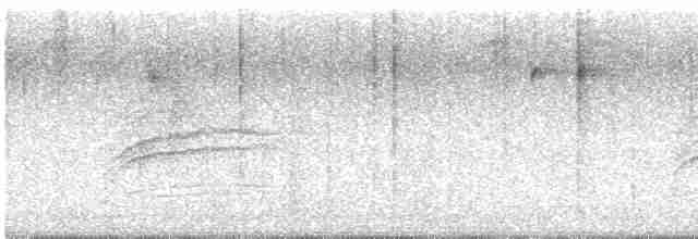 Münzevi Bülbül Ardıcı - ML612089590