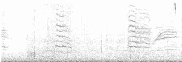 Пересмішник сірий - ML612089666
