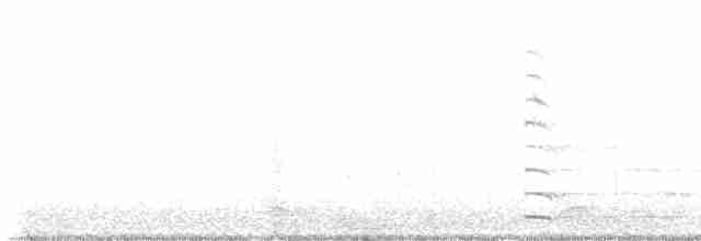 American Coot - ML612090748