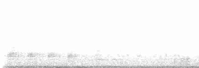 Mallard - ML612090853