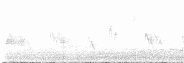 Белобровая овсянка (leucophrys/oriantha) - ML612091233