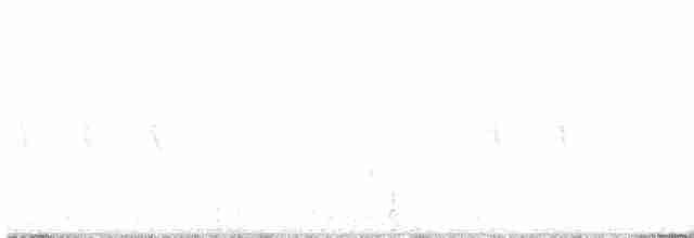 "Шишкар ялиновий (Western Hemlock, або тип 3)" - ML612096332