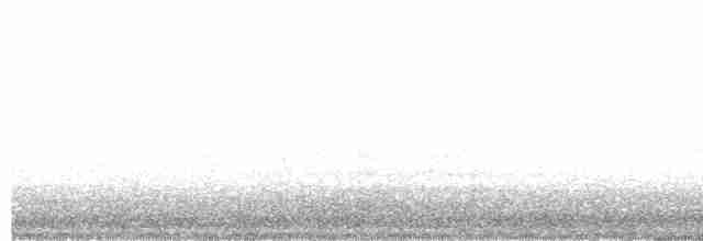 halsbåndfrankolin - ML612096939