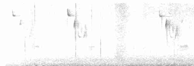 karolinasmett - ML612101574