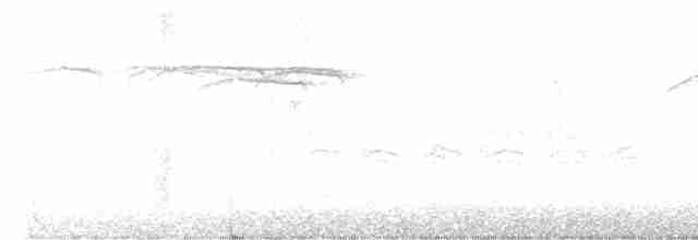 einersidensvans - ML612101601