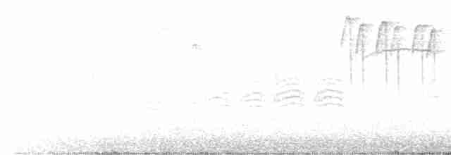 einersidensvans - ML612101602