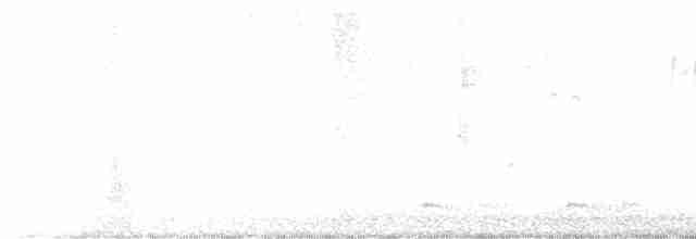 Plectrophane des neiges - ML612102311
