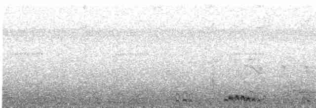 holoubek šupinkový - ML612103656