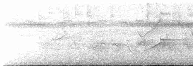 Kırlangıç Kuyruklu Çaylak - ML612103667