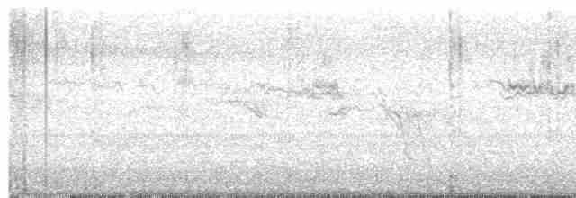 カワラバト（ドバト、家畜型） - ML612103675