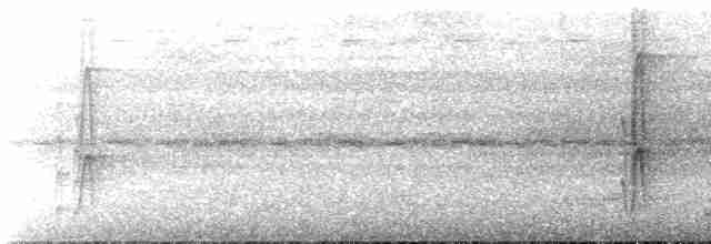 Pipromorphe roussâtre - ML612103688
