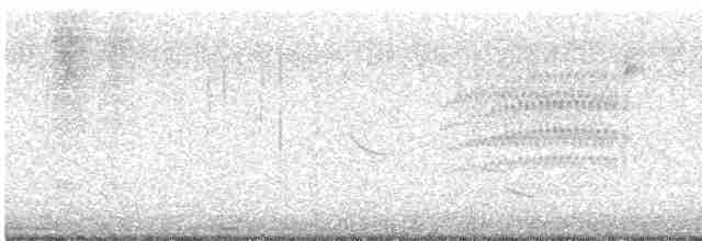 Turuncu Gagalı Bülbül Ardıcı - ML612104812