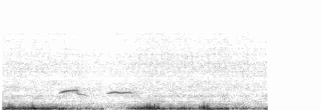 Патагонский тинаму - ML612106909